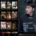 RapidTV.webp