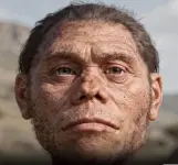 1000009102.webp 1000009102.webp
