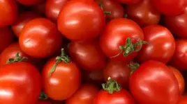 images (29).webp images (29).webp