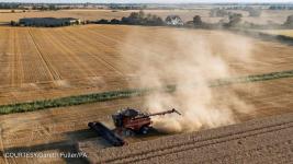 UK drought may lead to food shortage