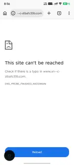 3422.webp