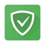 1000236217.webp 1000236217.webp