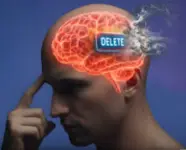 1000009306.webp 1000009306.webp