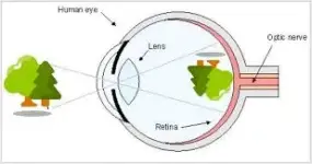 images (27).webp images (27).webp
