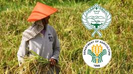Farmers seek 30% safeguard duty on imported rice Farmers seek 30% safeguard duty on imported rice