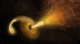 1000009384.webp 1000009384.webp