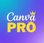 1786143088803.webp