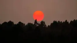 1000009447.webp