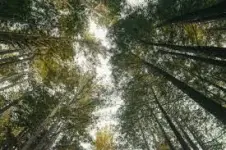 images (29).webp images (29).webp