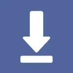 1786243630241.webp