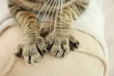 1000009491.webp 1000009491.webp