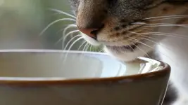 1000009495.webp 1000009495.webp