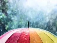 1000009497.webp 1000009497.webp