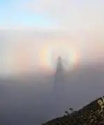 1000009505.webp 1000009505.webp