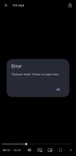 Error screenshot.webp