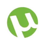 1786320497832.webp