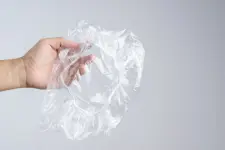 showercap_1_grande.webp