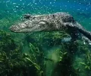 1000009543.webp 1000009543.webp