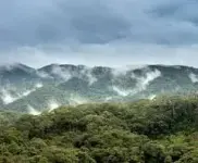1000009547.webp 1000009547.webp