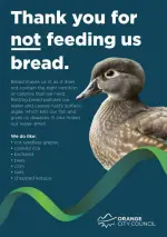 dont-feed-birds-bread-flyer.webp