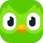 1786505312555.webp