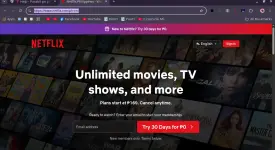 netflix 30days.webp