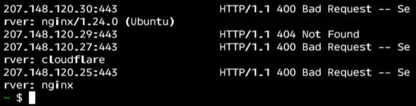638.webp