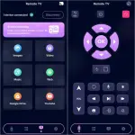 TV Remote.webp