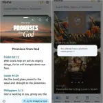 Life Bible.webp