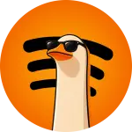 1000006992.webp