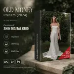 OLD MONEY Presets.webp