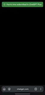 1000028902.webp