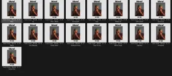 1787158711733.webp