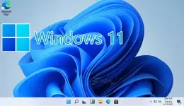 1787394047464.webp
