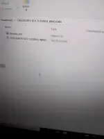 1787535710855368686943669372949.webp