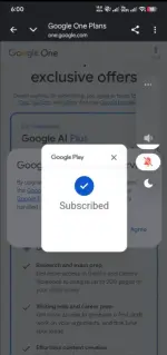 1787566084600.webp 1787566084600.webp