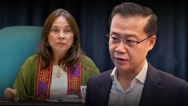 Sen. Legarda, may seryosong sakit ayon kay SP Gatchalian; halos isang buwan nang naka-medical leave