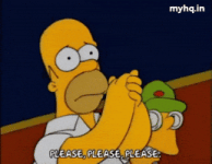 The Simpsons gif. Homer Simpson clasps his hands together and pleads, Please, please, please.