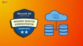 Microsoft MD-102: Explore Endpoint Management Practice Test