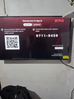 17883487997055584584463504535483.webp