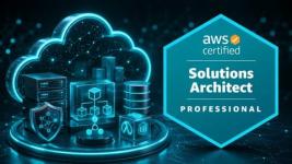 AWS Certified Solutions Architect Professional Practice Test