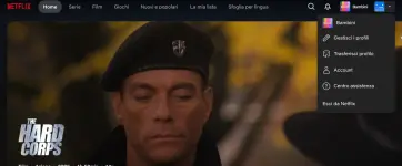 N1.webp