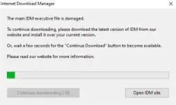 idm fix.webp