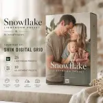 Snowflake Lightroom.webp