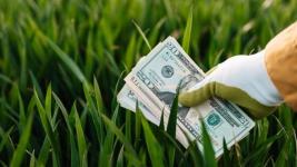 High Income Freelancing Strategies