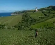 1000010584.webp
