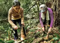 images (33).webp images (33).webp