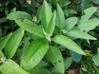 images (34).webp images (34).webp