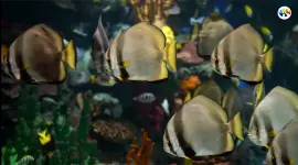 1788935790142.webp