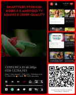 41608.webp 41608.webp